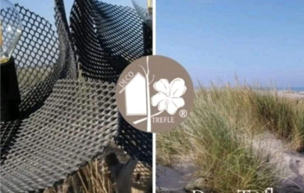 Déco Trèfle