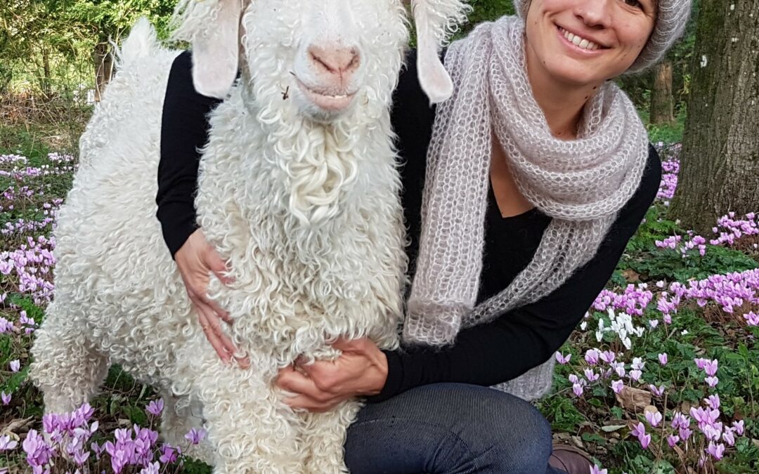 La fée Mohair